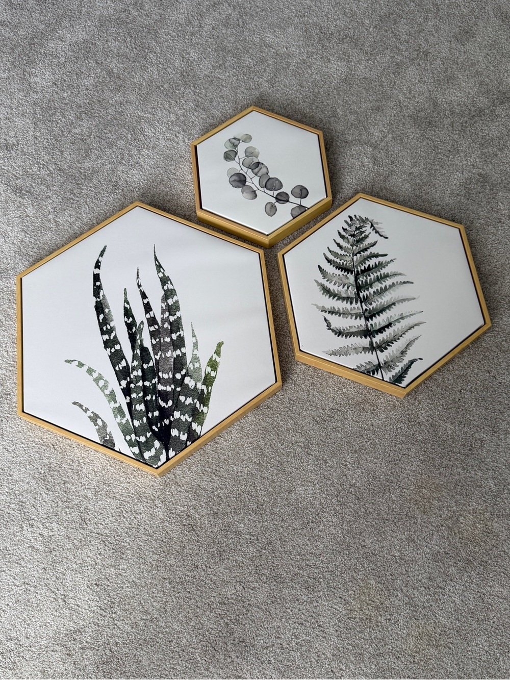 Set of 3 Wood Framed Hexagon Botanical Wall Art Home Decor